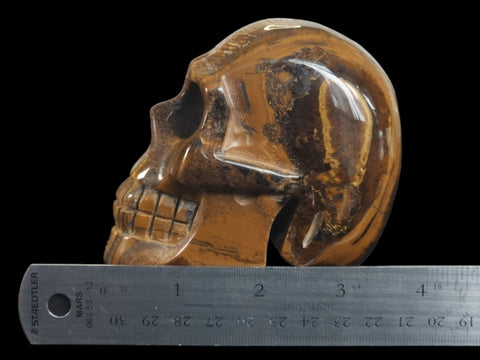 Tiger's Eye Skull (Large) - Littleton Rock Shop