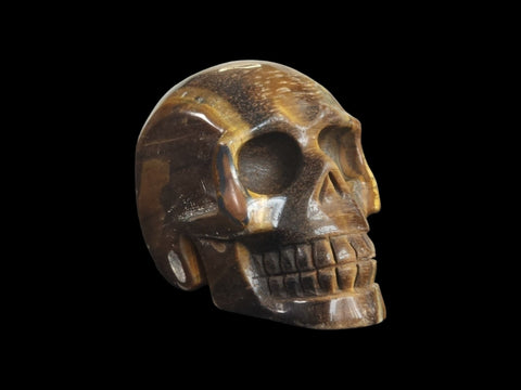 Tiger's Eye Skull (Large) - Littleton Rock Shop