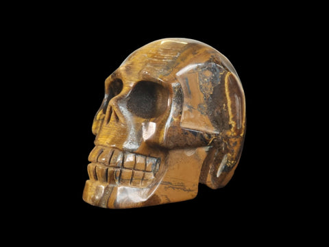 Tiger's Eye Skull (Large) - Littleton Rock Shop