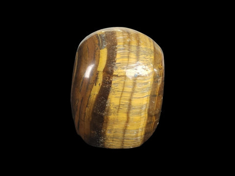 Tiger's Eye Skull (Large) - Littleton Rock Shop