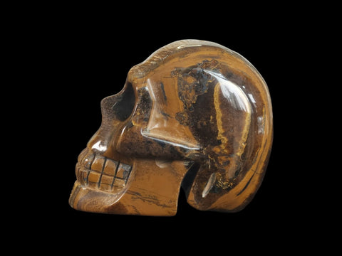 Tiger's Eye Skull (Large) - Littleton Rock Shop