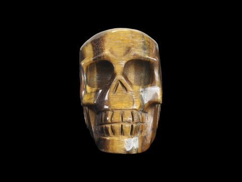 Tiger's Eye Skull (Large) - Littleton Rock Shop