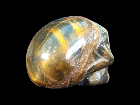 Tiger's Eye Skull (Small) - Littleton Rock Shop