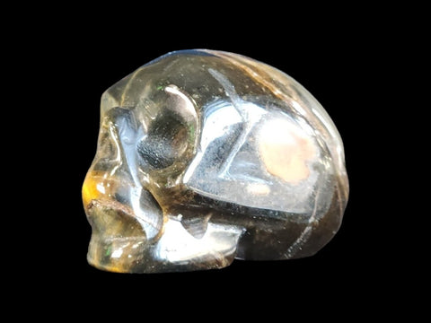 Tiger's Eye Skull (Small) - Littleton Rock Shop