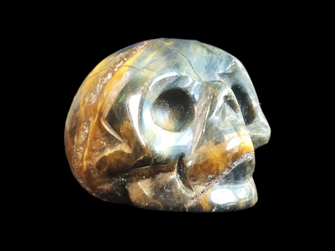 Tiger's Eye Skull (Small) - Littleton Rock Shop