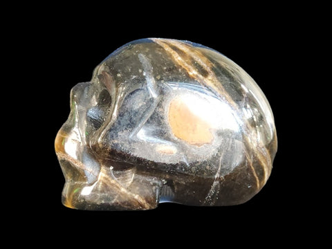 Tiger's Eye Skull (Small) - Littleton Rock Shop