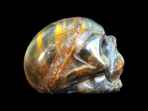 Tiger's Eye Skull (Small) - Littleton Rock Shop