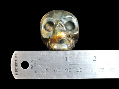 Tiger's Eye Skull (Small) - Littleton Rock Shop