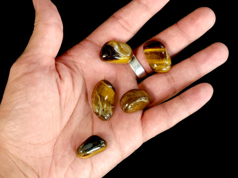 Tiger's Eye Tumbled Stone - Littleton Rock Shop