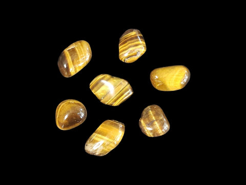 Tiger's Eye Tumbled Stone - Littleton Rock Shop